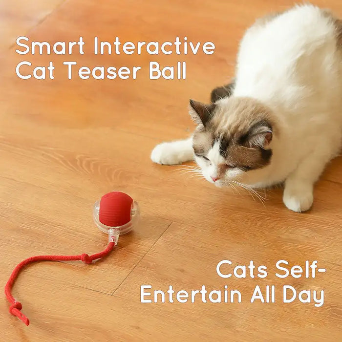 Cat Interactive Ball Toys  Rolling Ball Faux Tail