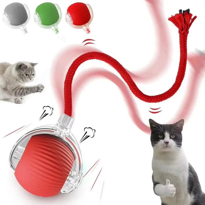 Cat Interactive Ball Toys  Rolling Ball Faux Tail