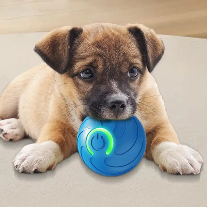 Dog Moving Ball Pet Puppy Rechargeable Moving Ball