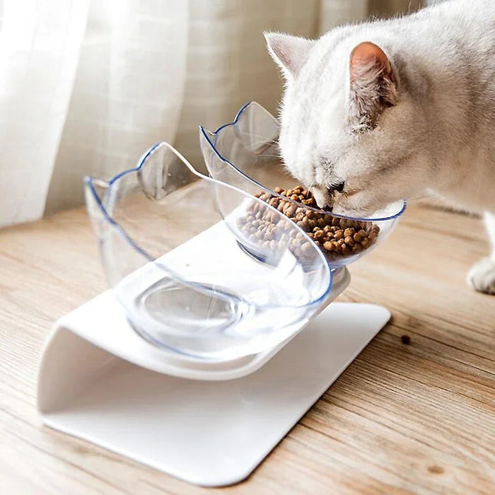 Double Cat Bowl  With Stand Pet Feeding Cat Water Bowl  For Dogs Feed